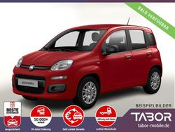 Rot Neu 2025 Fiat Panda Kleinwagen | 13.744 € (Guter Preis)