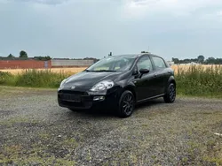 Gebraucht 2015 Fiat Punto Pop Kleinwagen | 5.999 € (Fairer Preis)