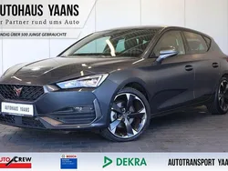 Grau Gebraucht 2024 Cupra Leon Limousine | 24.889 € (Superpreis)