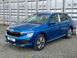 Grau Neu 2025 Skoda 105 Limousine | 29.390 €