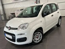 Colore esterno (weiss) Gebraucht 2021 Fiat Panda Urban Kleinwagen | 9.995 € (Guter Preis)