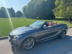 Grau Gebraucht 2018 BMW 220 Advantage Cabrio | 21.500 €
