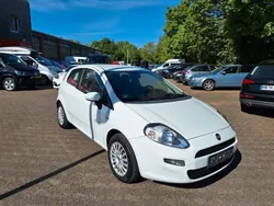 Weiß Gebraucht 2014 Fiat Punto Pop Kleinwagen | 3.290 € (Fairer Preis)