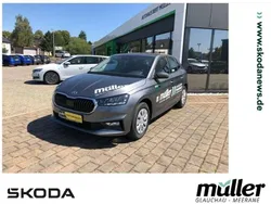 Grau (graphitegrau metallic) Gebraucht 2025 Skoda Fabia Selection Limousine | 24.990 € (Teuer)