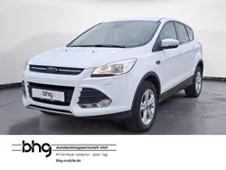 Weiß Gebraucht 2016 Ford Kuga SUV | 10.990 € (Superpreis)