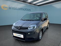 Grau Gebraucht 2023 Fiat Panda Kleinwagen | 11.249 € (Fairer Preis)