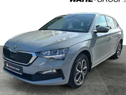 Grau Gebraucht 2024 Skoda Scala Tour Kleinwagen | 20.880 € (Guter Preis)