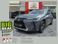 Mercury grey Gebraucht 2019 Lexus UX 250h Launch Edition SUV | 22.990 € (Fairer Preis)