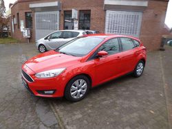 Other Gebraucht 2017 Ford Focus Business Edition Limousine | 7.900 € (Fairer Preis)