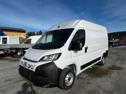 Weiß Gebraucht 2025 Fiat Ducato Van | 30.690 € (Guter Preis)