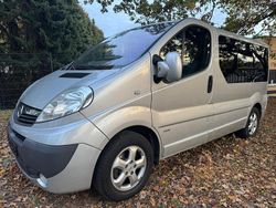 Grau Gebraucht 2014 Opel Vivaro Cosmo Van / Kleinbus | 11.900 €