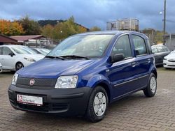 Blau Gebraucht 2009 Fiat Panda Active Kleinwagen | 2.990 € (Fairer Preis)