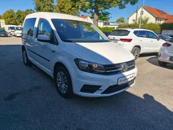 Candyweiss Gebraucht 2020 VW Caddy Trendline Van / Kleinbus | 19.600 € (Superpreis)