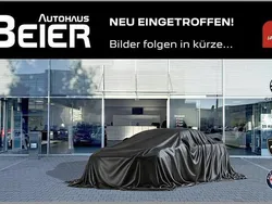 Silber Gebraucht 2020 Citroën Berlingo Feel Van / Kleinbus | 23.680 € (Teuer)