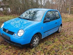 Blau Gebraucht 2000 VW Lupo Kleinwagen | 429 € (Superpreis)