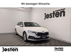 Candyweiss Gebraucht 2023 Skoda Octavia Style Kombi | 21.990 € (Guter Preis)