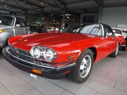 Rot Gebraucht 1991 Jaguar XJS Cabrio | 19.850 €