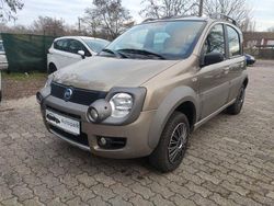 Beige Gebraucht 2007 Fiat Panda 4x4 Cross Kleinwagen | 3.300 € (Teuer)