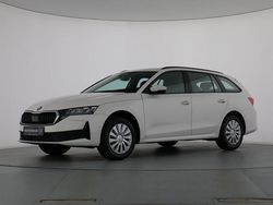 Weiß Neu 2025 Skoda Octavia Kombi | 26.915 € (Guter Preis)