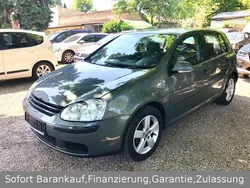 Grau Gebraucht 2004 VW Golf IV Limousine | 3.599 € (Fairer Preis)