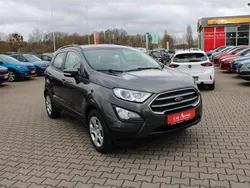 Grau Gebraucht 2019 Ford Ecosport SUV | 12.990 € (Guter Preis)
