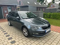Grau Gebraucht 2017 Skoda Octavia Style Kombi | 11.400 € (Guter Preis)