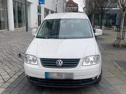Weiß Gebraucht 2010 VW Caddy Van / Kleinbus | 7.200 € (Fairer Preis)
