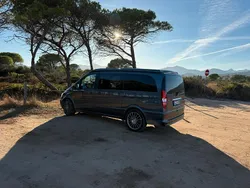 Grau Gebraucht 2012 Mercedes Viano Van / Kleinbus | 24.995 €