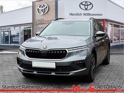 Grau Gebraucht 2025 Skoda Kamiq Selection SUV | 21.990 € (Guter Preis)