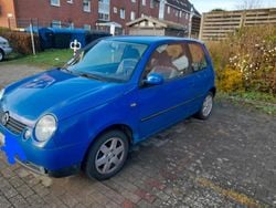 Blau Gebraucht 1999 VW Lupo Kleinwagen | 2.100 € (Fairer Preis)