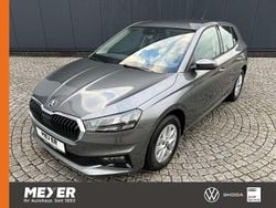 Graphite grau metallic Neu 2025 Skoda Fabia Selection Kleinwagen | 21.890 € (Guter Preis)