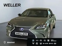Jadegrün Gebraucht 2019 Lexus ES300 Limousine | 36.990 €