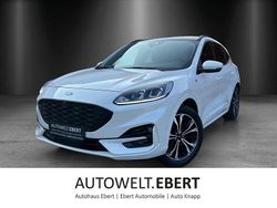 Arktisweiß () Gebraucht 2021 Ford Kuga ST-Line SUV | 22.750 € (Etwas zu teuer)