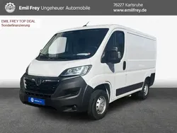 Eis weis Gebraucht 2022 Opel Movano Edition Van | 19.990 € (Superpreis)