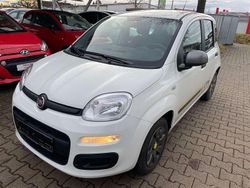 Uni(gelato weiß) Gebraucht 2014 Fiat Panda Kombi | 6.100 € (Fairer Preis)