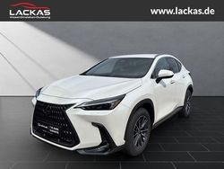 Weiß Neu 2025 Lexus NX350h Executive Line SUV | 53.950 € (Fairer Preis)