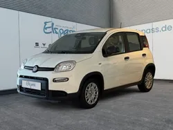 Weiss Neu 2024 Fiat Panda Kleinwagen | 14.979 €