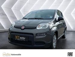 Grau Gebraucht 2023 Fiat Panda Kleinwagen | 13.450 € (Fairer Preis)