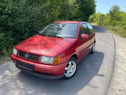 Rot Gebraucht 1997 VW Polo Sportline Limousine | 1.200 € (Fairer Preis)