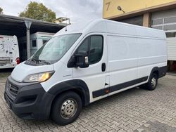 Weiß Gebraucht 2019 Fiat Ducato Van | 8.990 € (Fairer Preis)