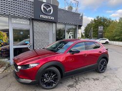 Neu 2025 Mazda CX-30 Homura-Line SUV | 29.990 €