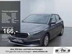 Graphitegrau Gebraucht 2021 Skoda Fabia Active Kleinwagen | 13.949 € (Etwas zu teuer)