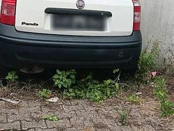 Weiß Gebraucht 2010 Fiat Panda Kleinwagen | 1.200 € (Guter Preis)