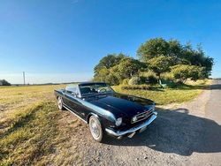 Blau Gebraucht 1965 Ford Mustang Cabrio | 37.900 €