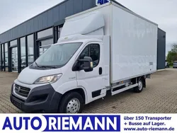 Weiß Gebraucht 2018 Fiat Ducato Van | 24.900 €