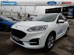 Frostweiß Gebraucht 2022 Ford Kuga ST-Line SUV | 29.990 € (Etwas zu teuer)