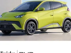 Grün Neu 2025 BYD Dolphin Boost Kleinwagen | 28.380 €