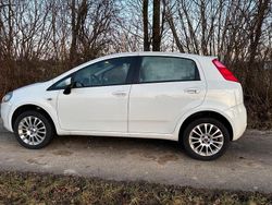 Gebraucht 2009 Fiat Punto Kleinwagen | 1.500 €