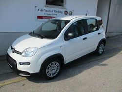 Schwarz Gebraucht 2024 Fiat Panda Kleinwagen | 15.990 € (Teuer)
