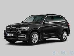 Grau Gebraucht 2017 BMW X5 SUV | 29.999 € (Fairer Preis)